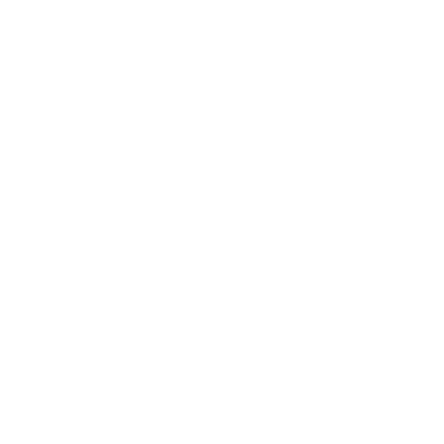 Phone Number Icon